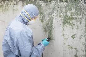 Best Water Damage & Mold Remediation  in Gretna, LA